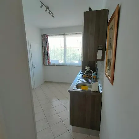 招待所 The Dreams