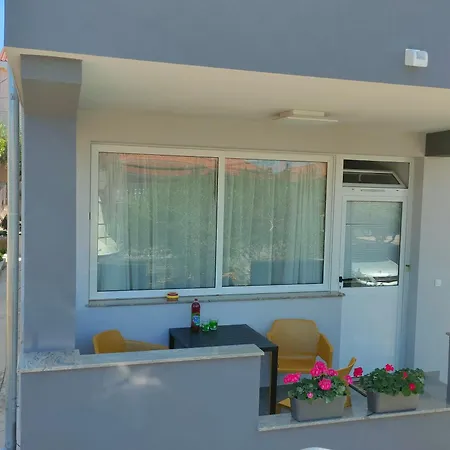 The Dreams 扎达尔